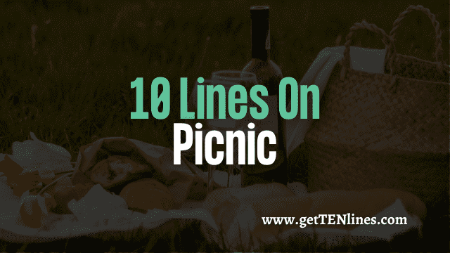 10 lines on picnic